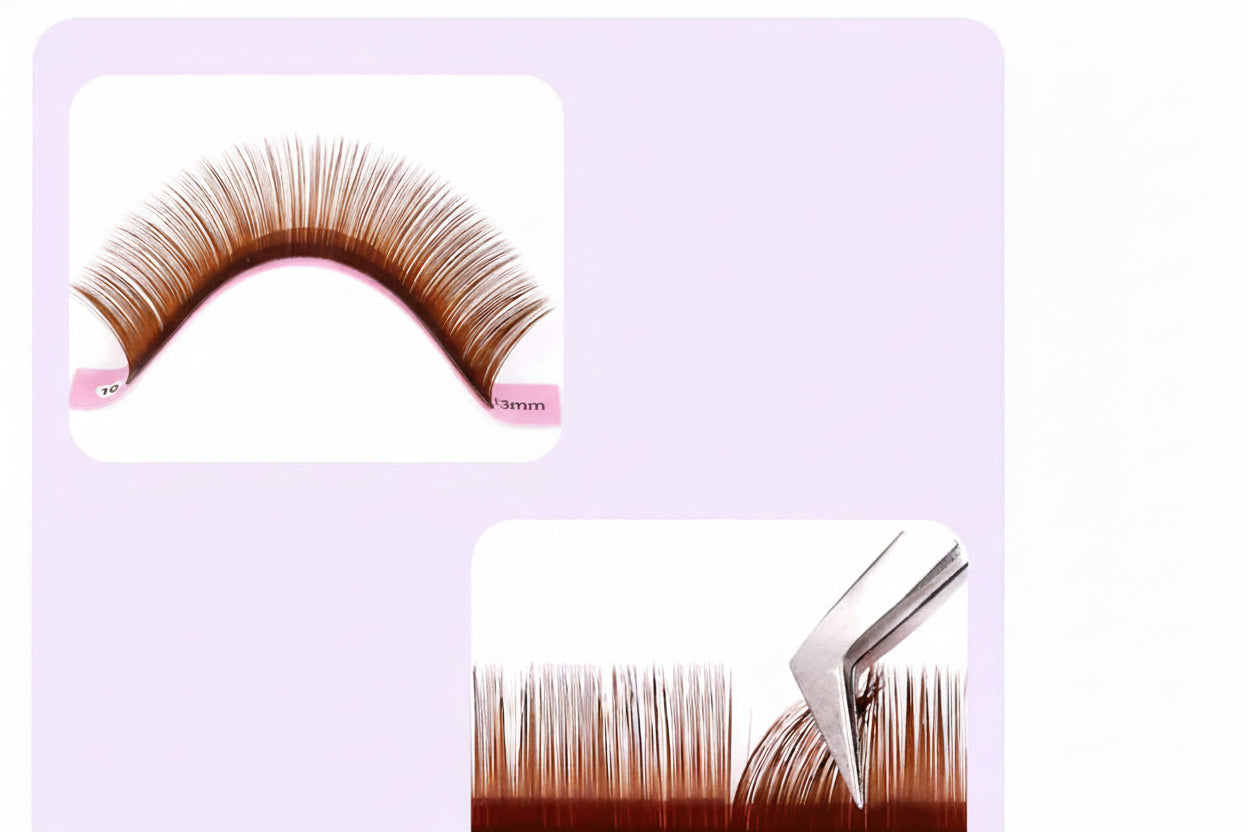 Extension Cils Individuels Clairs et Foncés Lashprofessor