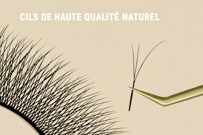 Extension Bouquets Préfait Noir Fox 3D 4D 5D