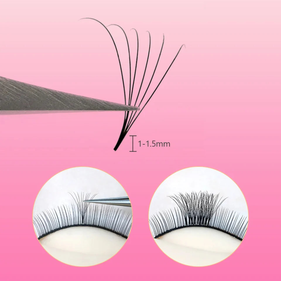 Extension de cils préfait Lashprofessor 3/4/6/7/8/10/12/14D Base Pointue